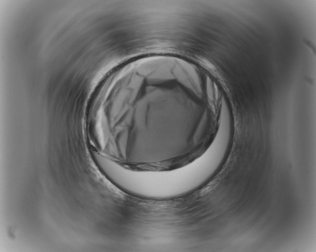 X0000099571334200806131248
