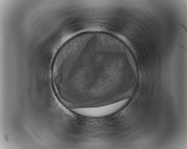 X0000099571335200806131248