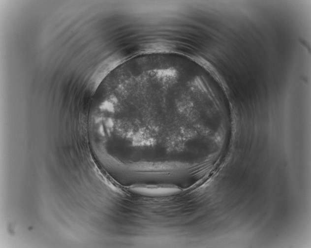 X0000099571337200806131248