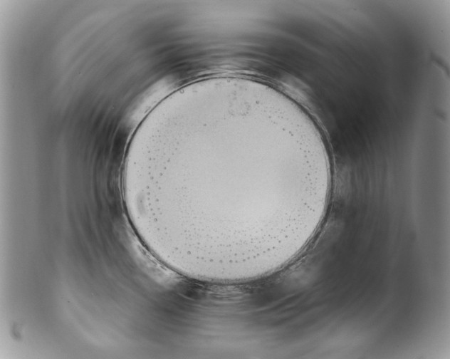X0000099571338200806131248