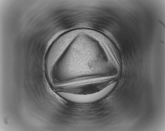 X0000099571339200806131248