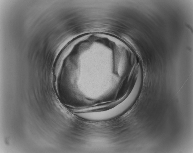 X0000099571340200806131248