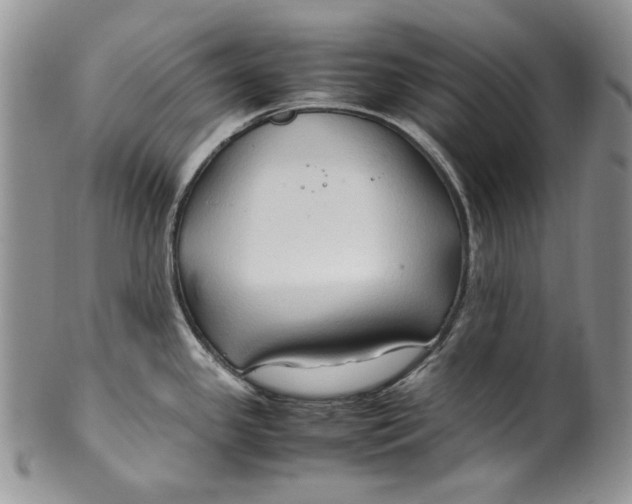X0000099571341200806131248