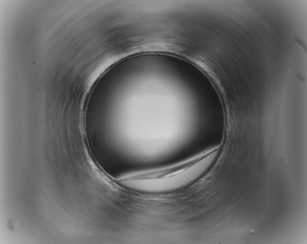 X0000099571342200806131248