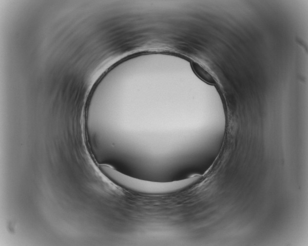 X0000099571343200806131248