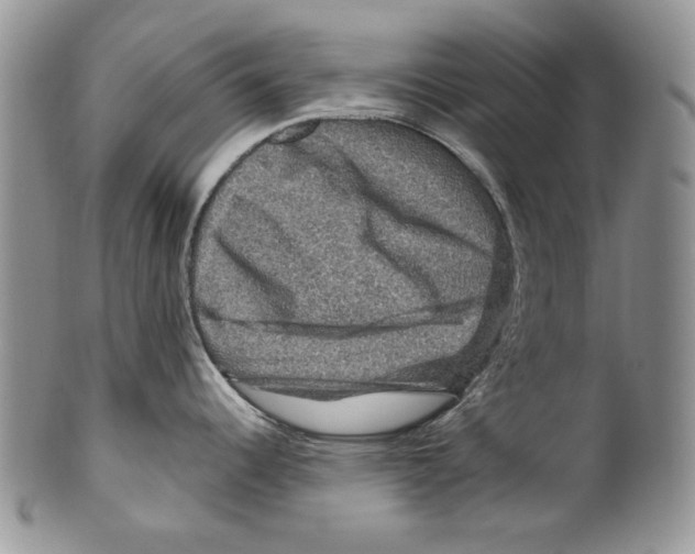 X0000099571344200806131248
