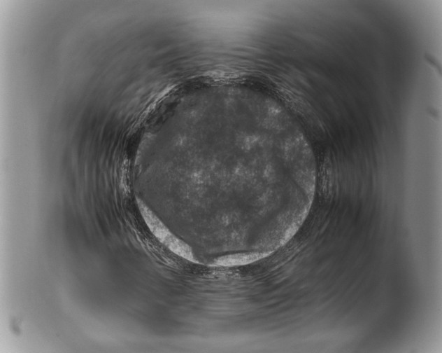 X0000099571346200806131247