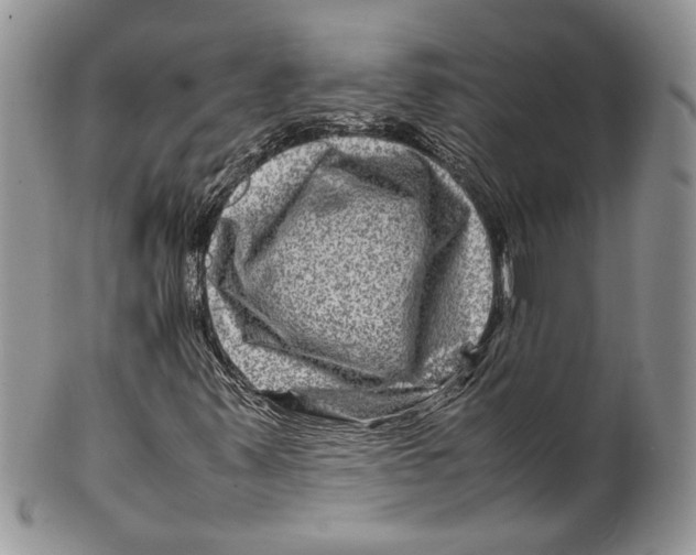 X0000099571347200806131247