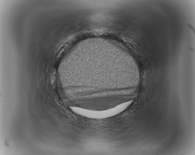 X0000099571349200806131247