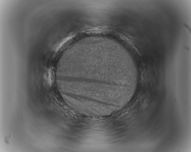 X0000099571350200806131247