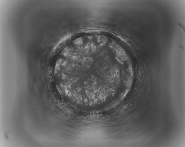 X0000099571351200806131247