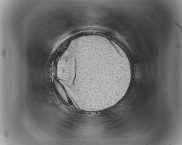 X0000099571352200806131247