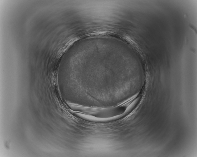 X0000099571353200806131247