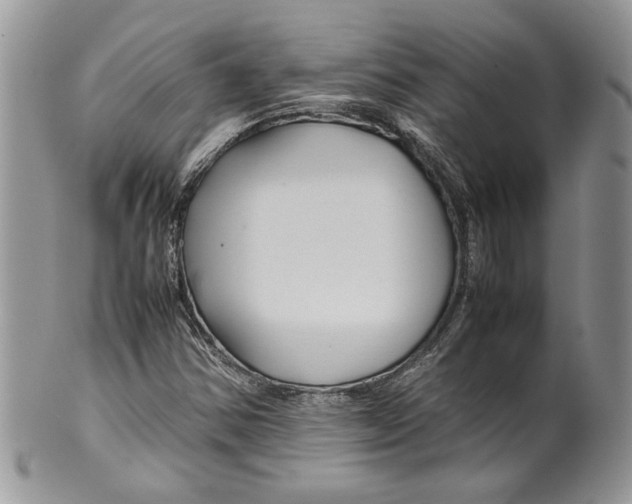 X0000099571354200806131247