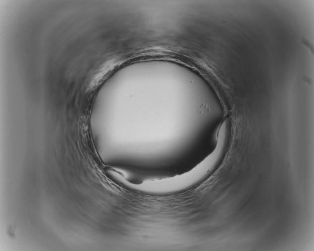 X0000099571355200806131247
