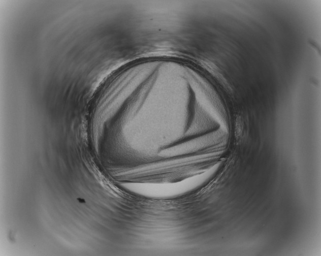 X0000099571356200806131247