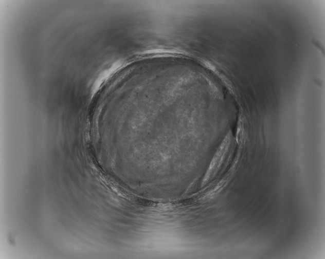 X0000099571357200806131247