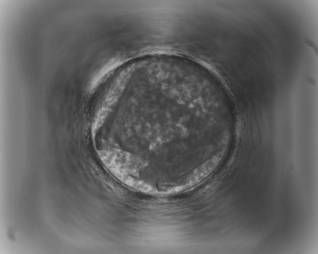 X0000099571359200806131247