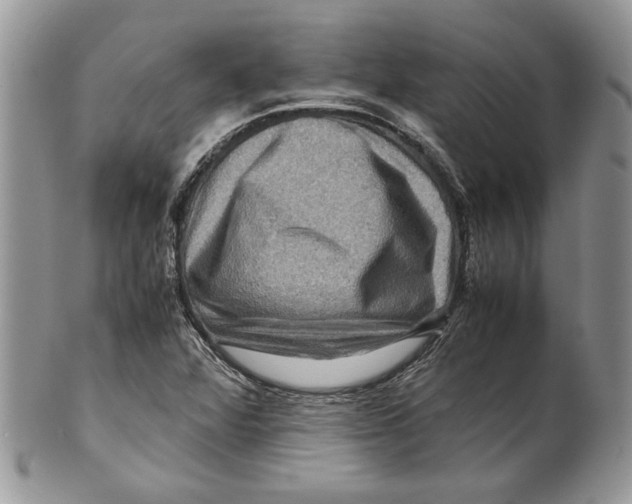 X0000099571360200806131247