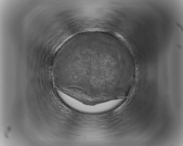 X0000099571361200806131247