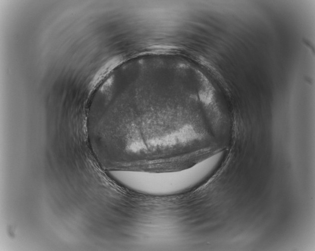 X0000099571362200806131247