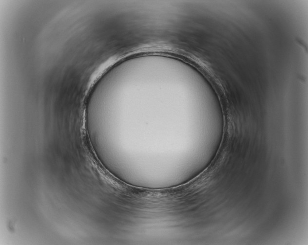 X0000099571366200806131247