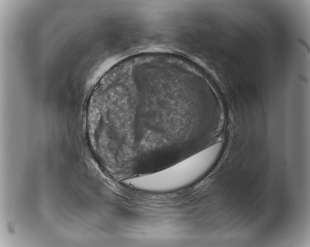 X0000099571367200806131247