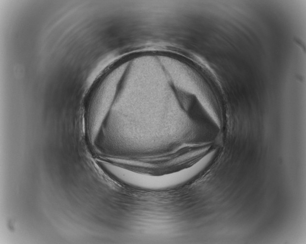 X0000099571368200806131247