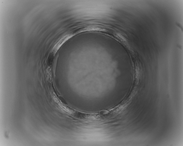 X0000099571369200806131247
