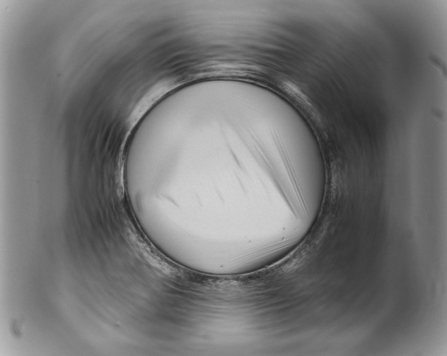 X0000099571370200806131247