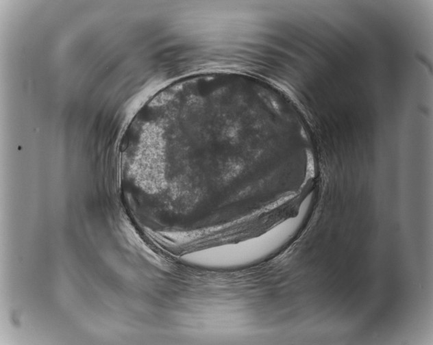 X0000099571371200806131247