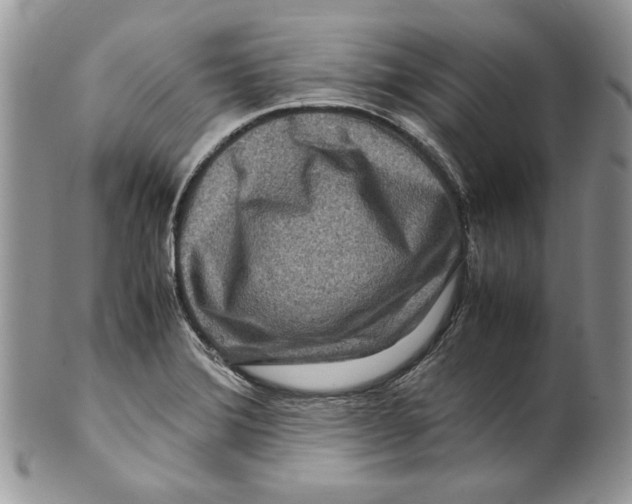 X0000099571372200806131247