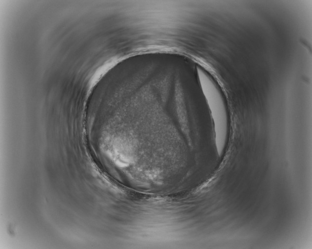 X0000099571373200806131247