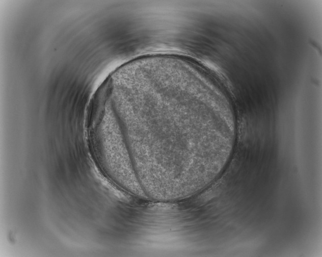 X0000099571374200806131247