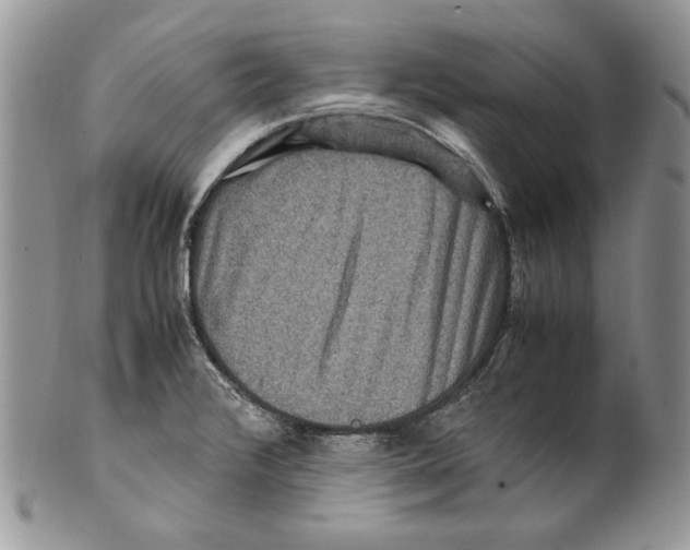 X0000099571376200806131247