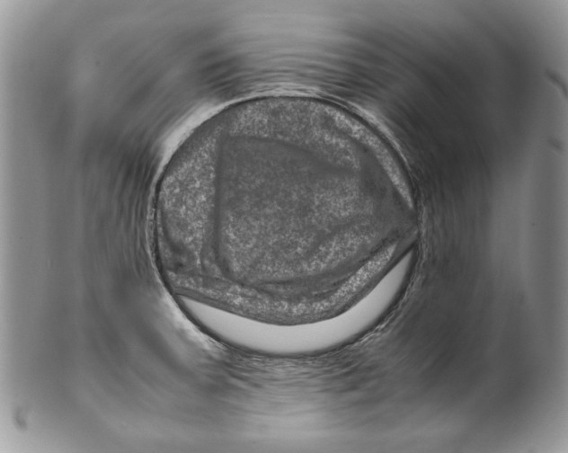 X0000099571379200806131247