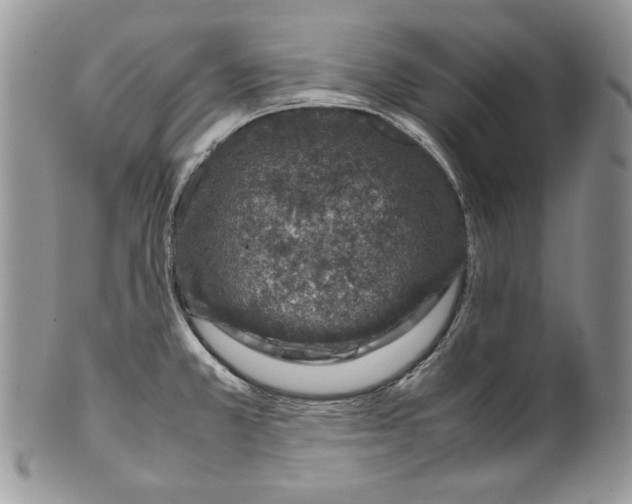 X0000099571381200806131247