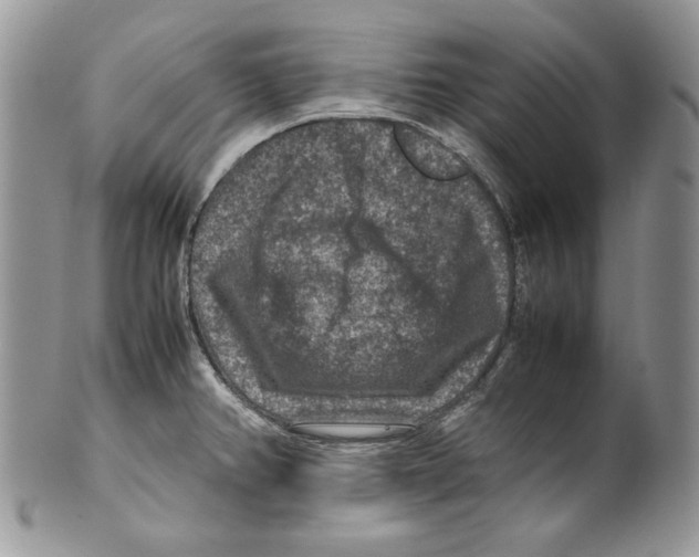 X0000099571382200806131247