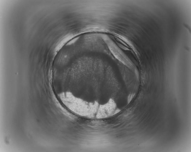 X0000099571383200806131247