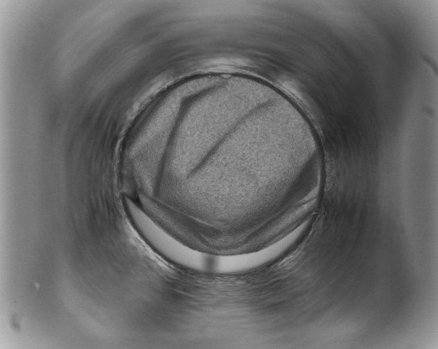 X0000099571384200806131247