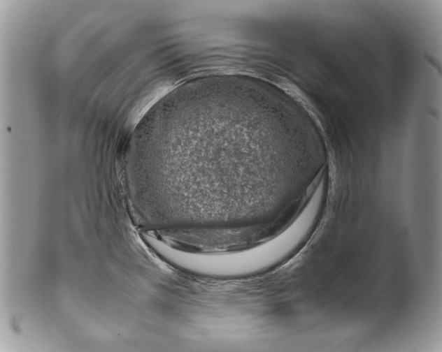 X0000099571385200806131247