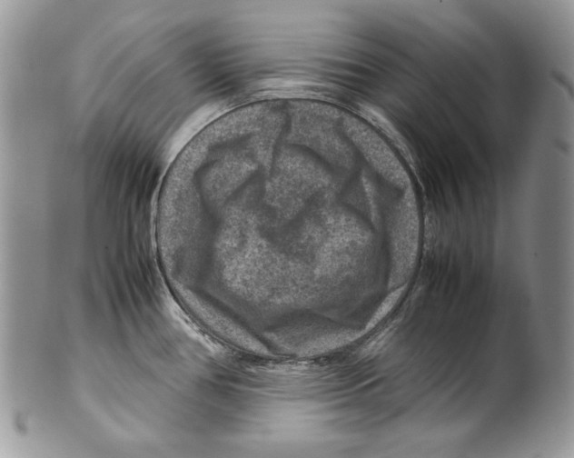 X0000099571386200806131247