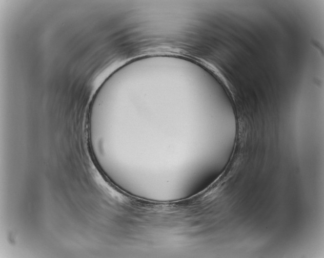 X0000099571387200806131247
