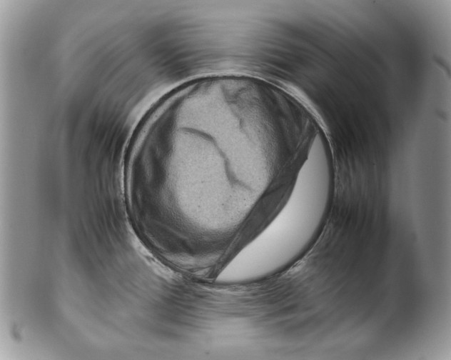 X0000099571388200806131247