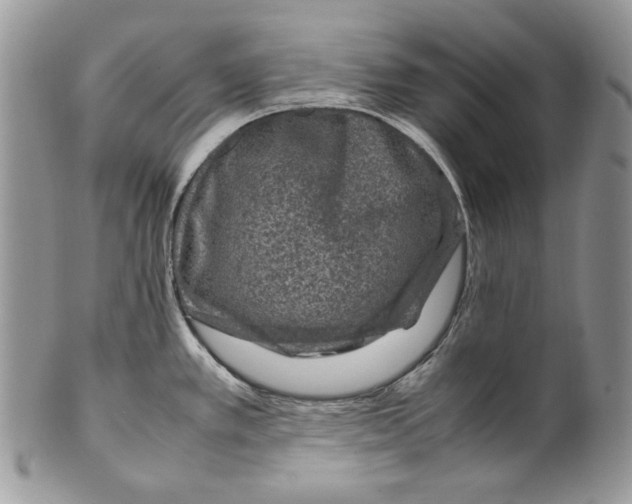 X0000099571389200806131247