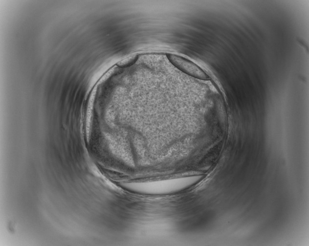X0000099571390200806131246