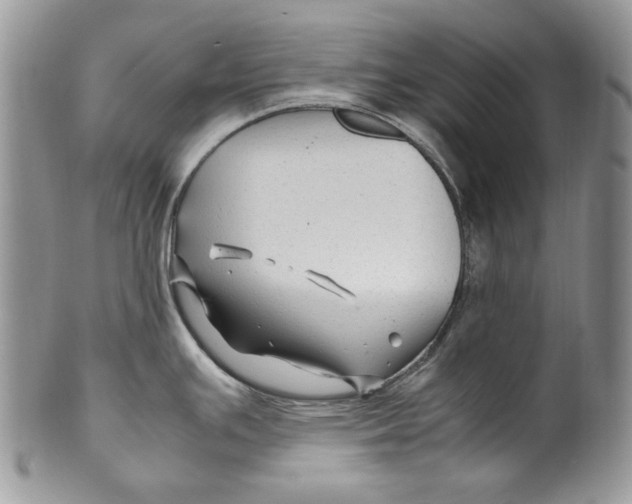 X0000099571391200806131246