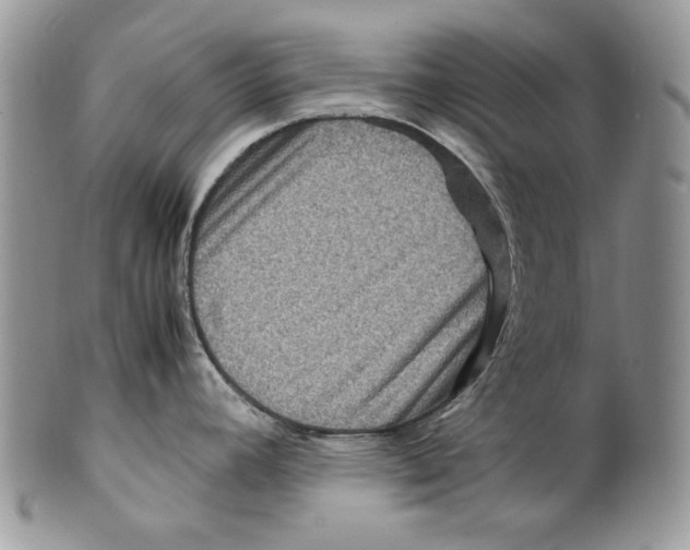 X0000099571392200806131246