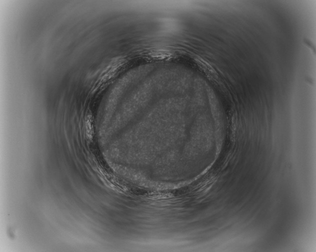 X0000099571394200806131246