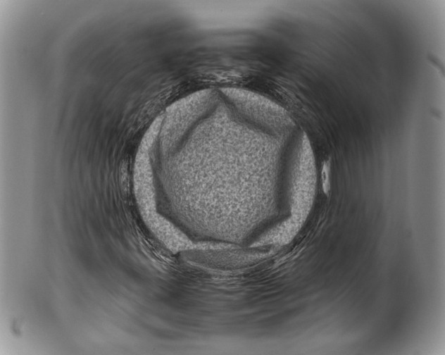X0000099571395200806131246